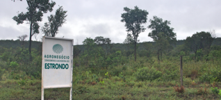 De arma na cintura, agronegócio tenta expulsar comunidades tradicionais do Cerrado