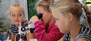 Im Vivarium erforschen Kinder die heimische Wassertierwelt