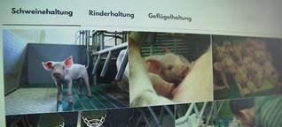 MEDIEN: Neue Pressearbeit der Bauern, Medialer Umgang mit Todesfahrt von Münster