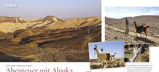 Alpaka-Abenteuer in Israel