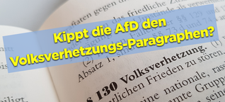 +++Exklusive Recherche+++ Die AfD will den Volksverhetzungs-Paragraphen ändern - um „Biodeutsche" zu schützen.