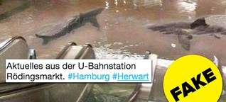 Dieses Foto von Haien in der Hamburger U-Bahn ist fake - trotzdem teilen es Leute auf Twitter