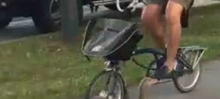 Tierquälerei in München: Brutaler Radfahrer überfährt Gänse-Familie - das sagt die Polizei