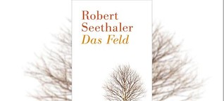 Literatur im Gespräch mit Robert Seethaler: "Das Feld"