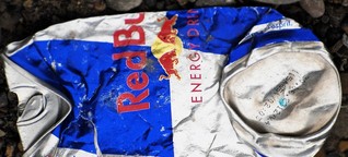 Diskussion in Österreichs Musikszene: "Legt euch nicht mehr mit Red Bull ins Bett" | BR.de