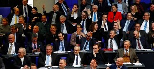 Die AfD im Bundestag: Jäger oder Maulhelden?