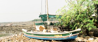 Wie sich Mumbais Fischer-Siedlung Chimbai in der Megacity behauptet