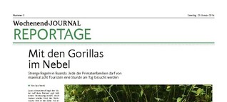 Mit den Gorillas im Nebel