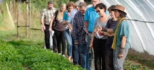 Besser essen: Zu Besuch im „solidarischen Garten"