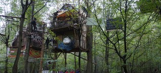 Räumung im Hambacher Forst: "Wir brauchen eine Denkpause"