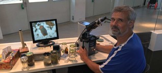 Die Isar unter dem Mikroskop: Außerirdische im Wassertropfen?