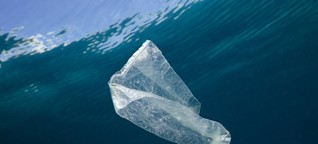 Müll als Rohstoff: Plastiksammeln im Meer soll Geld einbringen