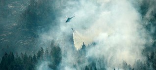 EU states join forces to fight deadly wildfires across Europe