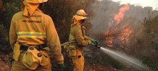 Brände in Kalifornien - Empörung über Trumps Kritik am Forstmanagement