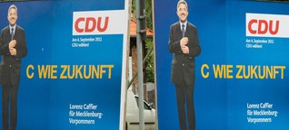 Landtagswahlen: Wie die Parteien an ihren Spaßkampagnen scheitern - WELT
