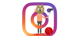 Rich Cats of Instagram