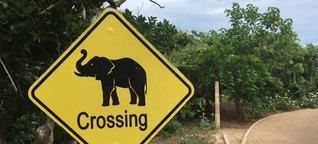 Sri Lanka für Entdecker: Zweimal Dschungel, bitte!