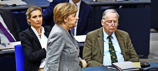 Ein Jahr AfD im Bundestag: Gegenrealität als Geschäftsmodell