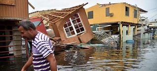 Opferzahl von Hurrikan: Trump wittert eine Verschwörung
