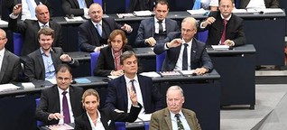 AfD im Bundestag: Topthema Ausländer