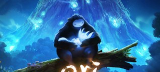 Exklusives Interview zu Ori And The Blind Forest