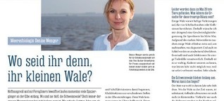 PINNWAND / Hamburger Abendblatt:
Wo seid ihr denn, ihr kleinen Wale?