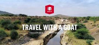 INSIGHT - Travel with a Goat