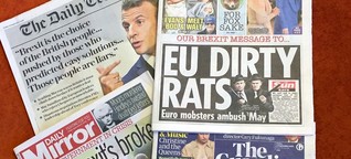 Brexit: Spaltung der britischen Medienlandschaft