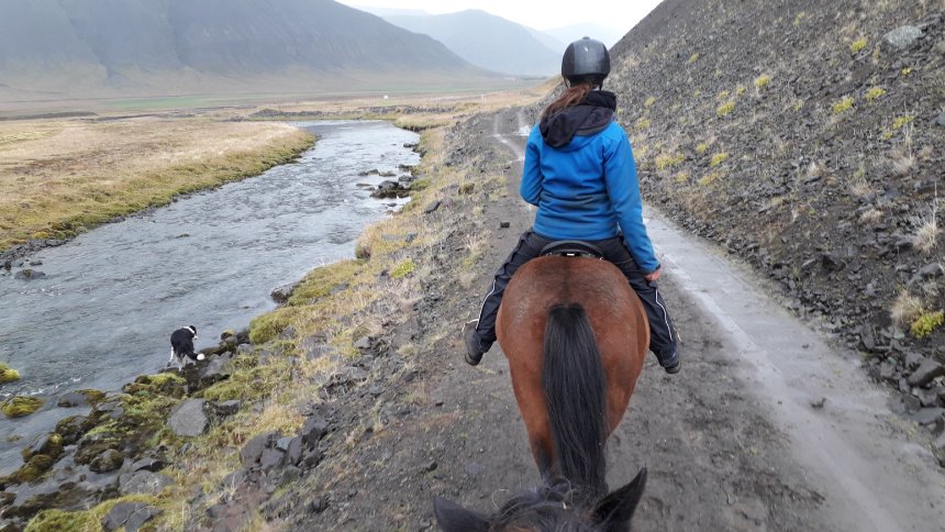 Reittour in Island: Ein Mann, ein Fjord, 24 Ponys