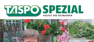 TASPO Spezial: Vielfalt der Pelargonien