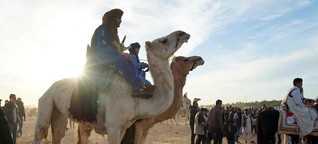 Sahara Festival in Douz. Wettkampf in der Wüste von Tunesien