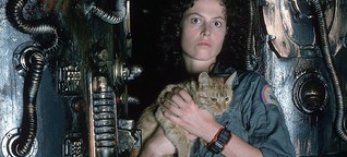 „Sex verstört alle Menschen" - Warum Alien (1979) immer noch ein genialer Film ist