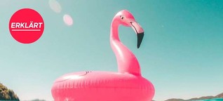 Mops, Einhorn und Flamingo: Was hat es mit den Trendtieren auf sich?