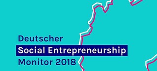 1. Deutscher Social Entrepreneurship Monitor