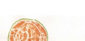 Foodillustration in Aquarell: halbgeschälte Clementine