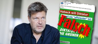 Die AfD sagt, Robert Habeck wünsche sich eine Diktatur - das steckt hinter der Behauptung