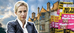 Alice Weidel will an englischer Elite-Uni Oxford sprechen - Studenten protestieren dagegen