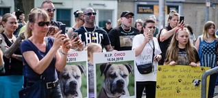 Mahnwache für Hund Chico: "Unser Held, unser Freiheitskämpfer"