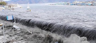 Focus: Tsunami - Die Vermessung der Welle