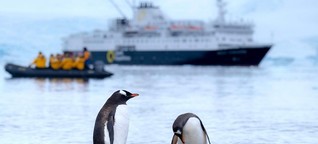 Erdölsuche belastet Tiere - Ein Hörtest für Pinguine - Deutschlandfunk