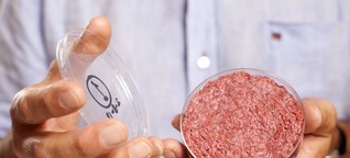 Klimakiller Fleisch: Diese Startups wollen ihn bezwingen