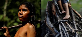 Seine Heimat brennt: Feuer am Amazonas