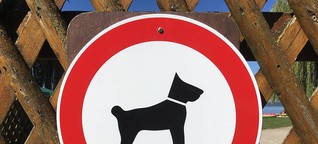 Hundeverbot auf der Landesgartenschau: Was Veranstalter und Tierhalter zu der Regelung sagen