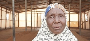 Monguno: Humanitarian crisis meets climate change