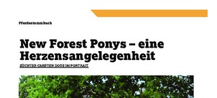 Portrait: New Forest Pony-Züchter Carsten Dose