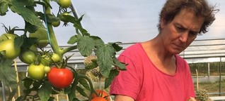 Saatgut-Züchterin Christina Henatsch