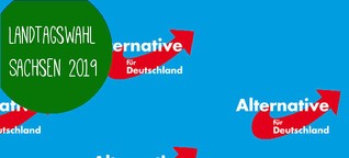 AfD Sachsen: Das Wahlprogramm 2019 im Überblick!