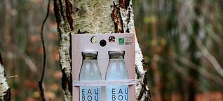 Birkensaft aus Nordfrankreich: Hippes Getränk zur Rettung der Bäume