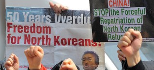 Flüchtlinge aus Nordkorea - Alles andere als willkommen