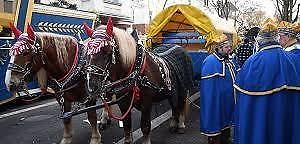 Pferde im Karneval: Zwischen Tradition und Tierquälerei